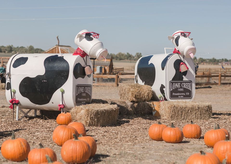 Pumpkin Patch Colorado Springs 2020